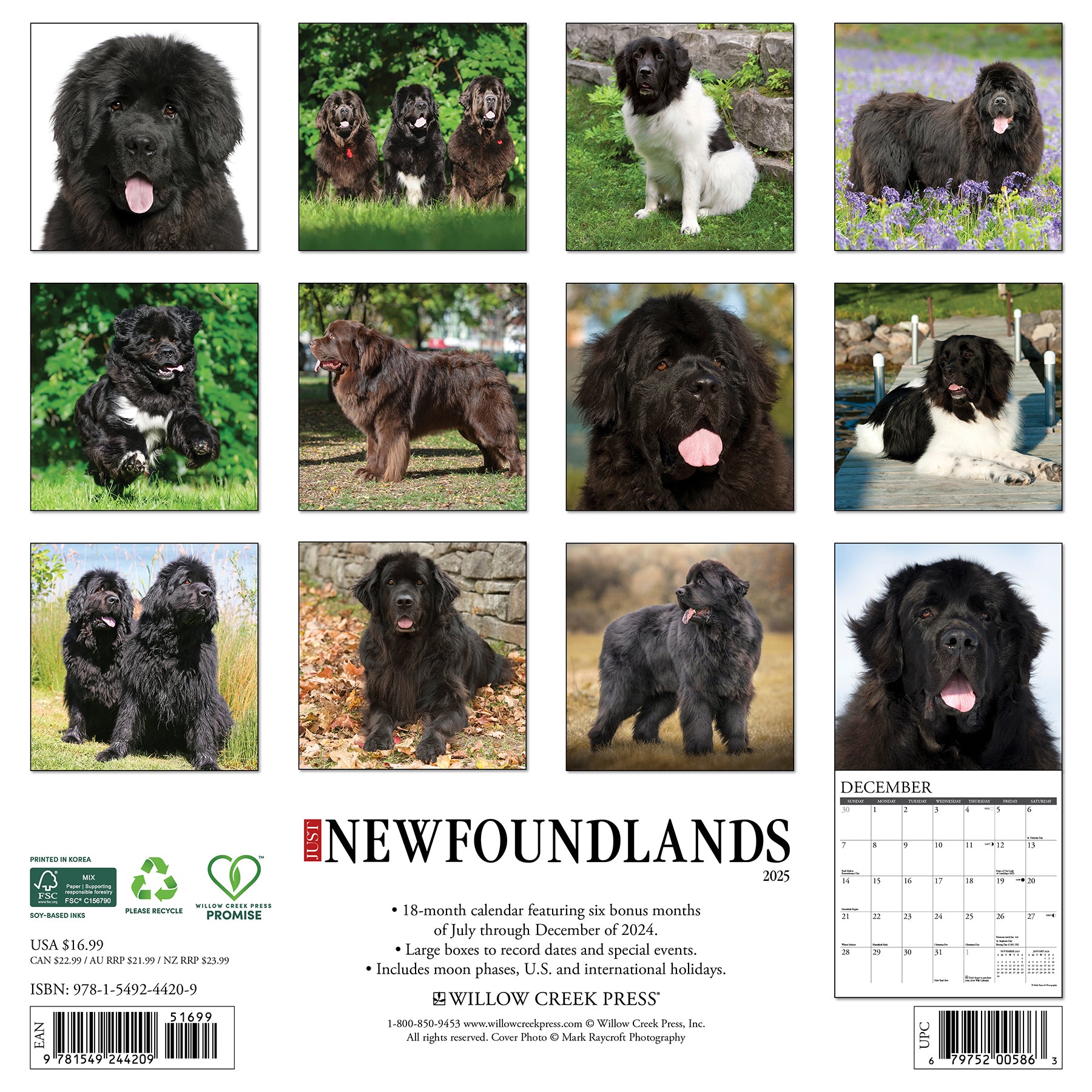 Just Newfoundland 2025 Calendar