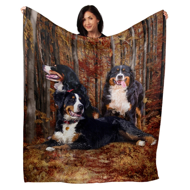 Dog plush blanket 2025