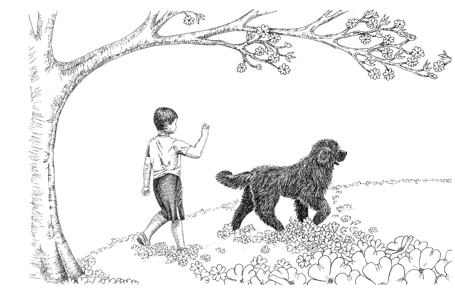 "The ABC of Dog: Essential manners for good dogs on a friendly planet"