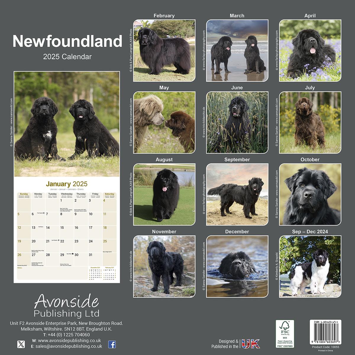 Newfoundland 2025 Calendar Avonside