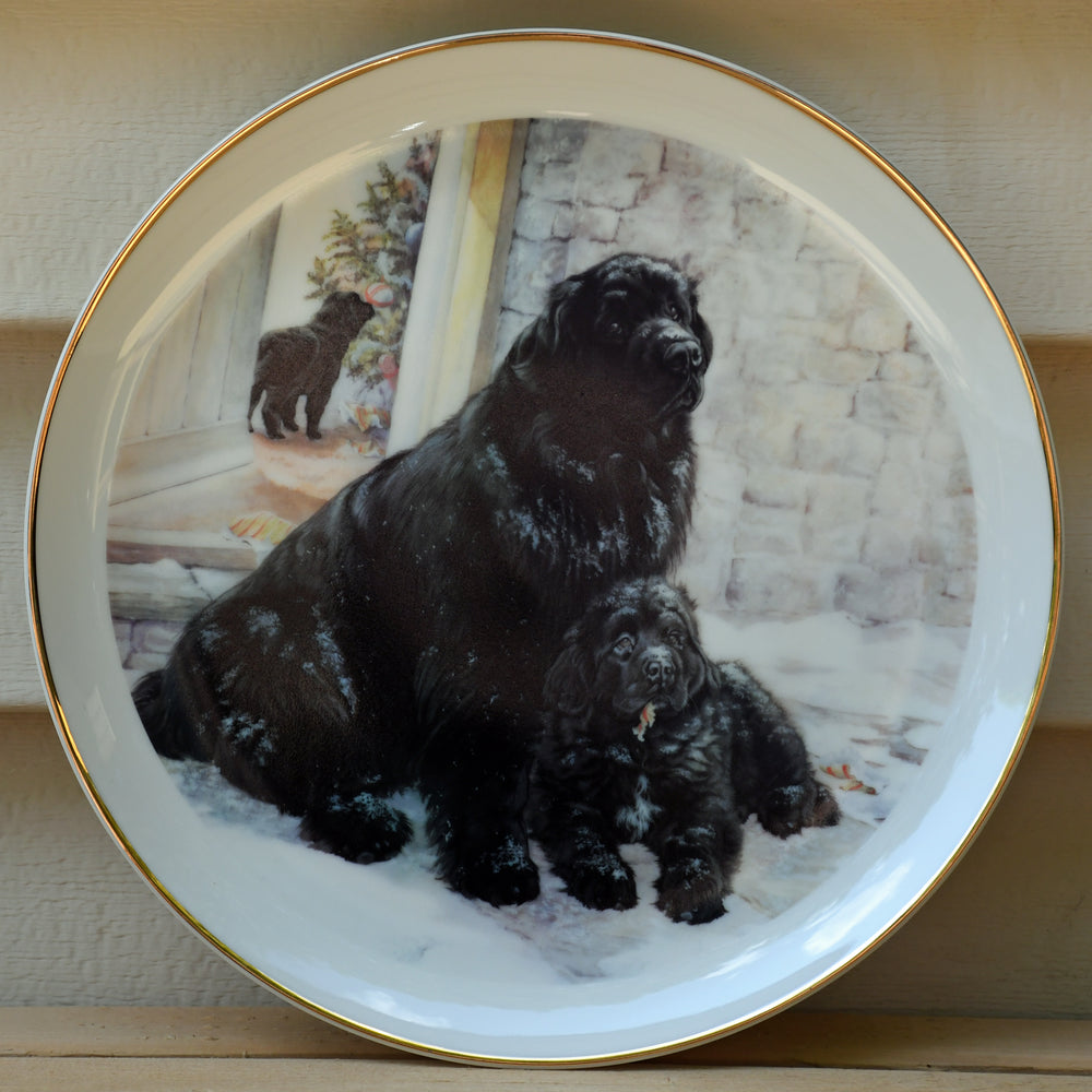 Paws for Thought limited edition plate 06/100 LB