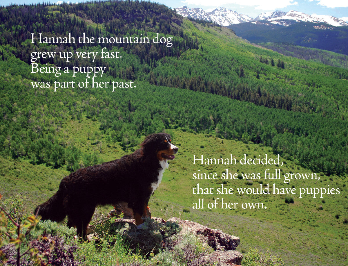 A Birth Day for Hannah