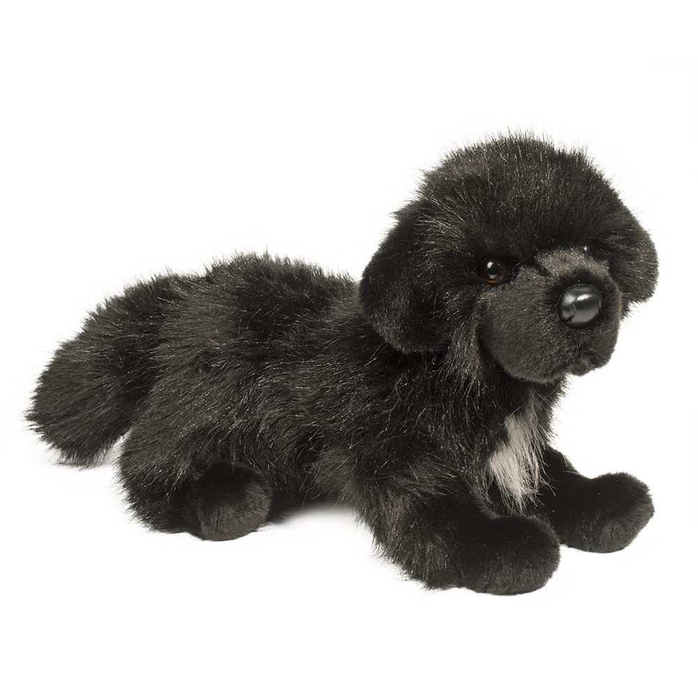 Bundy the stuffed Newfie