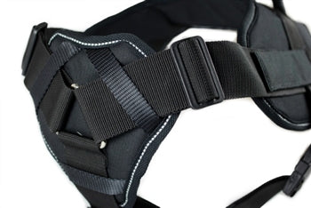 DT Fun Patch Harness w/ Chest Support for XL dogs