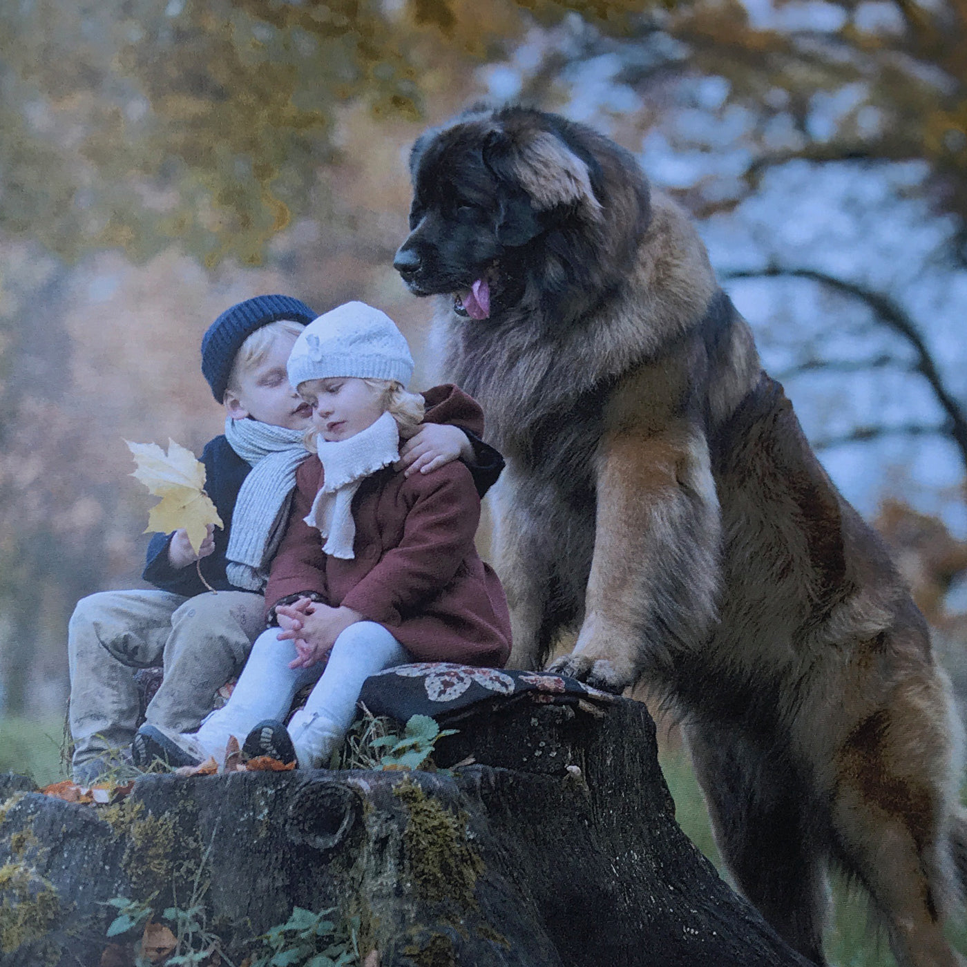 little kids and their big dogs - Volume 2