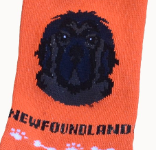 "Foozys Newf Socks" - one size fits most, orange only