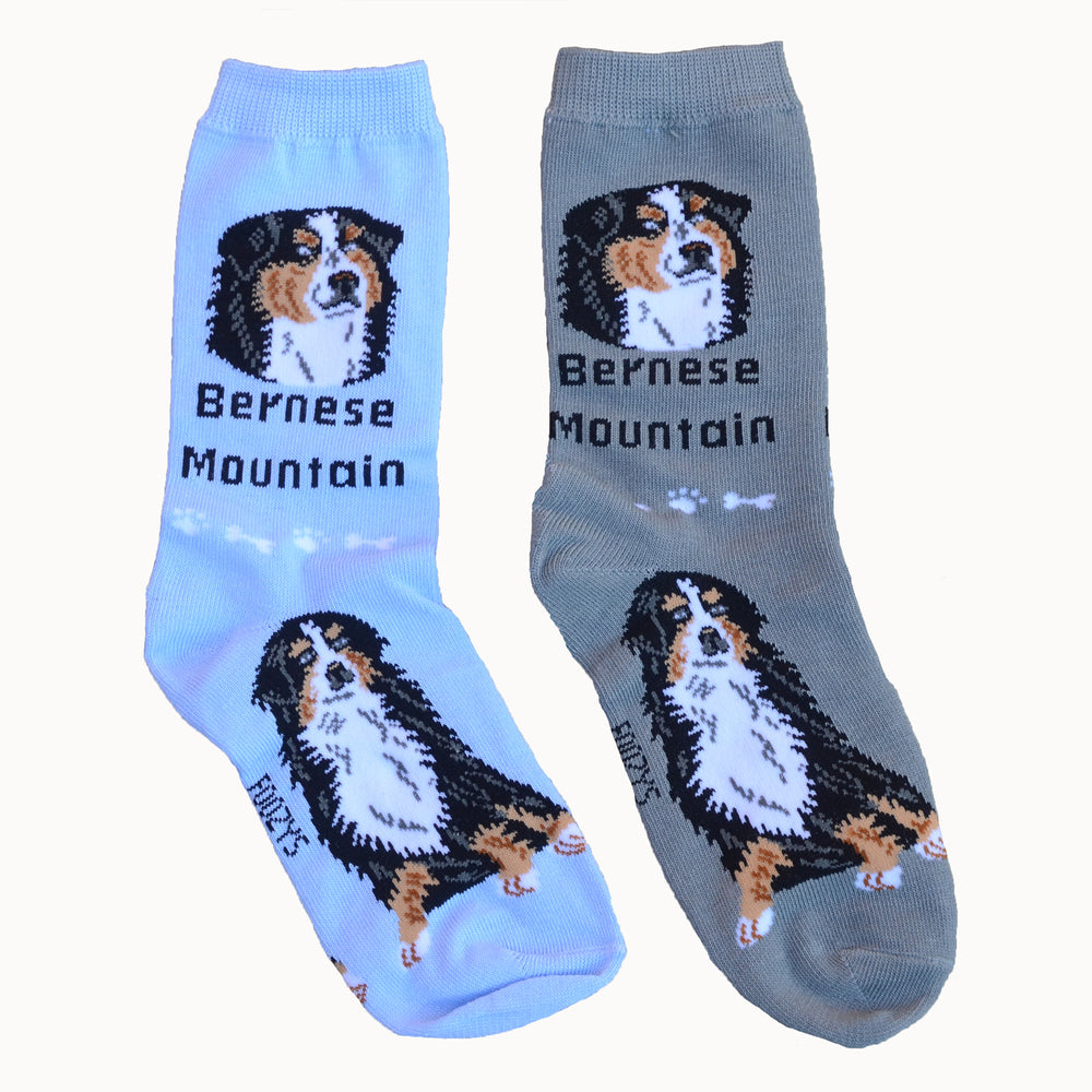 "Foozys Berner Socks" - one size fits most