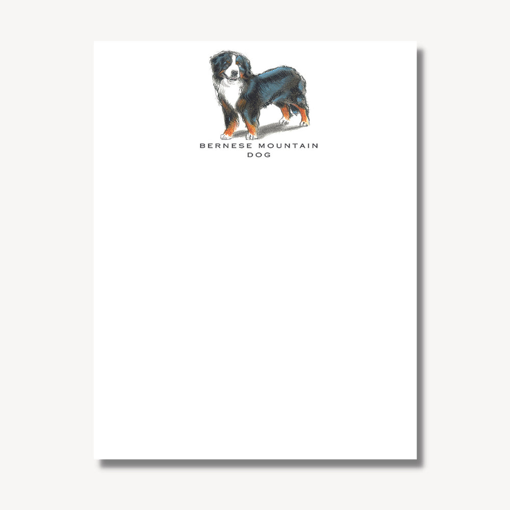 Bernese Post Card with Envelope - pack of 6