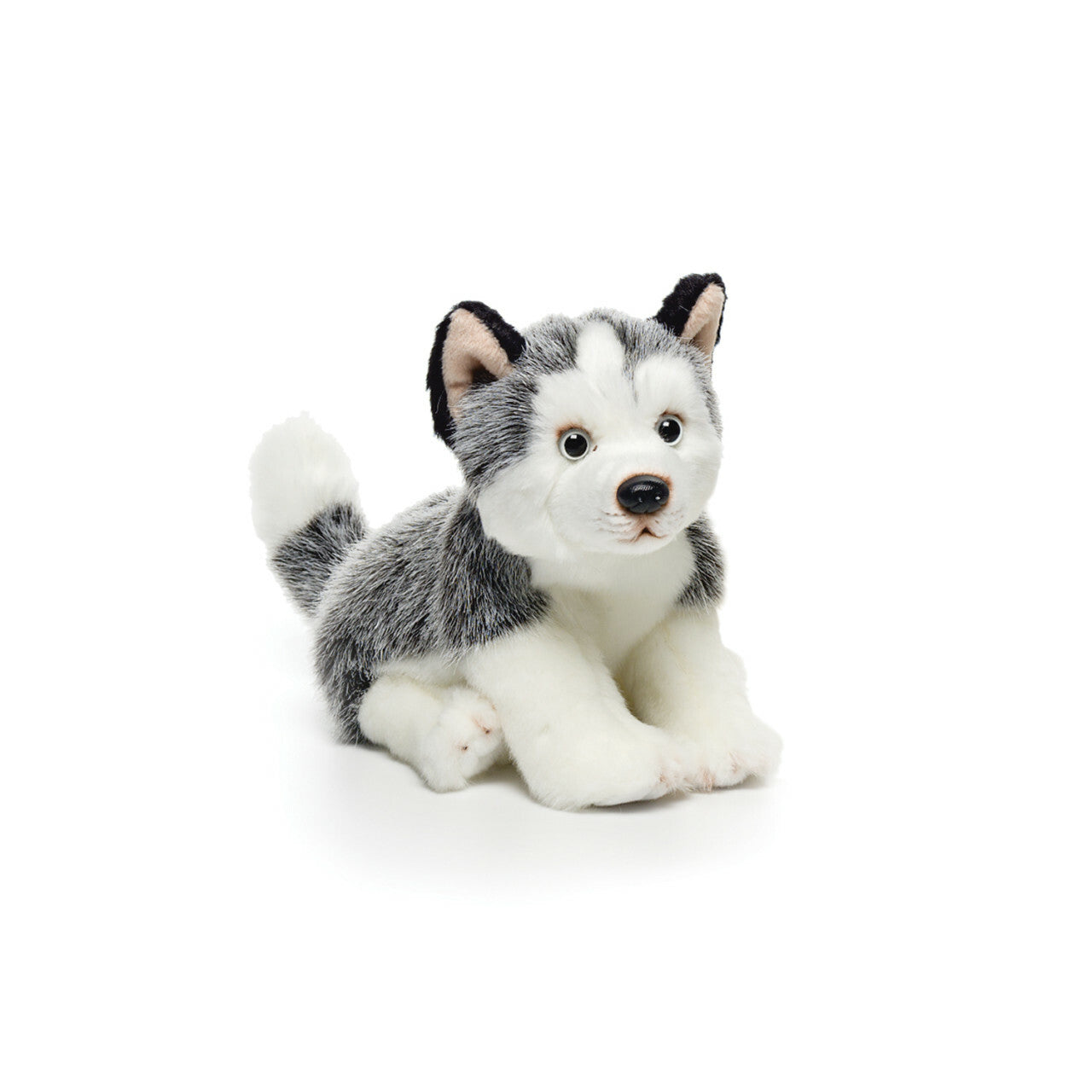 Elsa the Husky Plush Toy small BIG Gentle Dogs