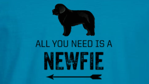 All you need is a Newfie t-shirt (sapphire)