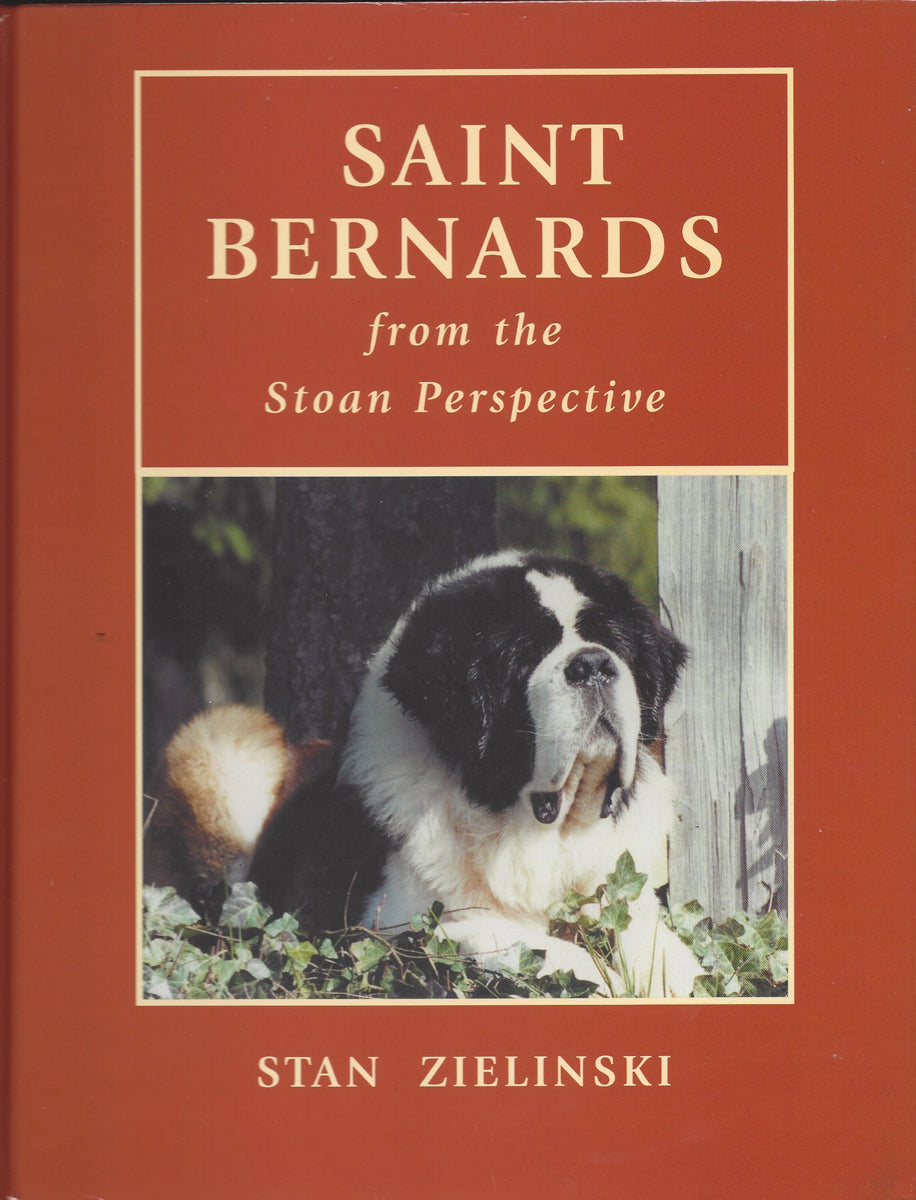 Saint Bernard from the Stoan Perspective – BIG Gentle Dogs