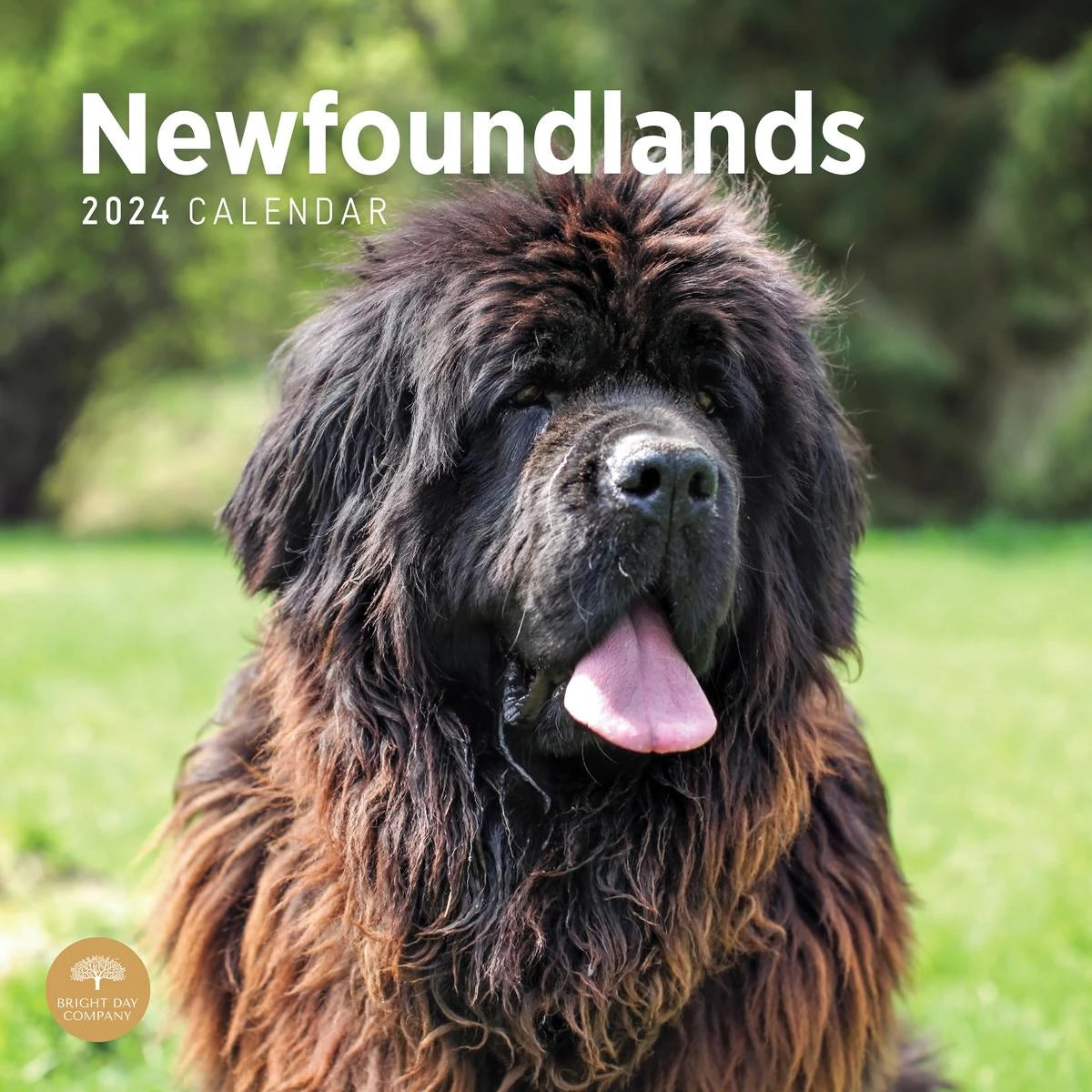 Newfoundland Calendar