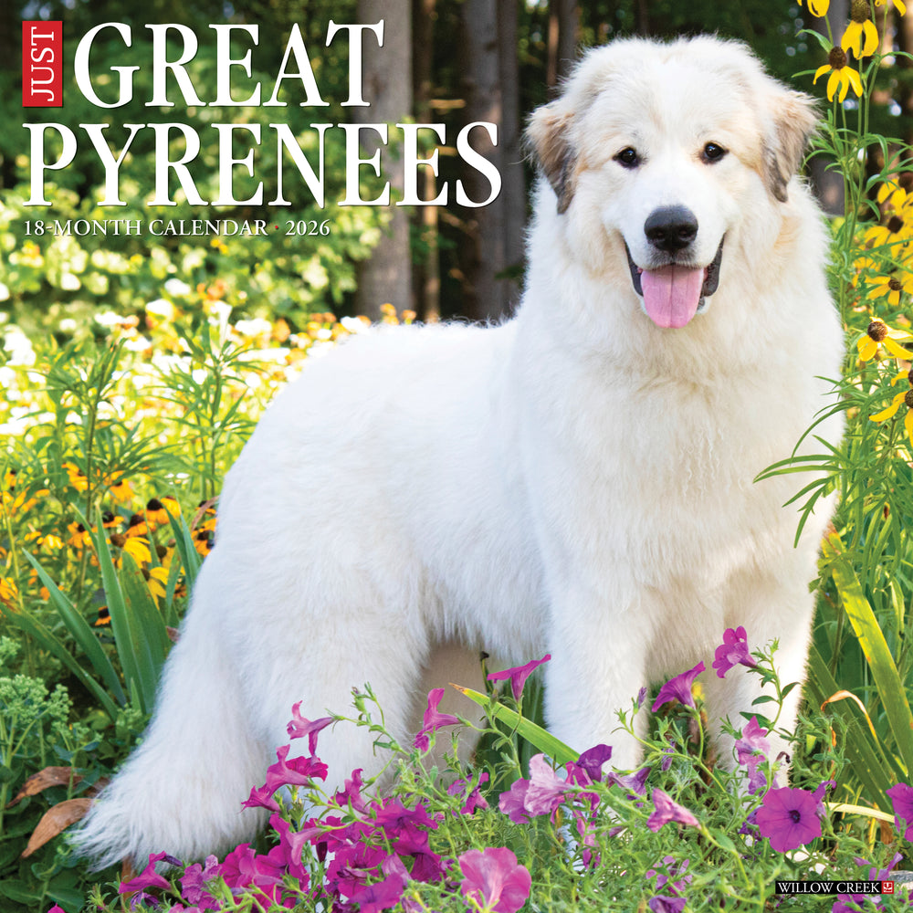 Just Great Pyrenees 2026 Calendar