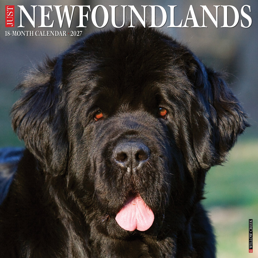 Just Newfoundlands 2027 Calendar