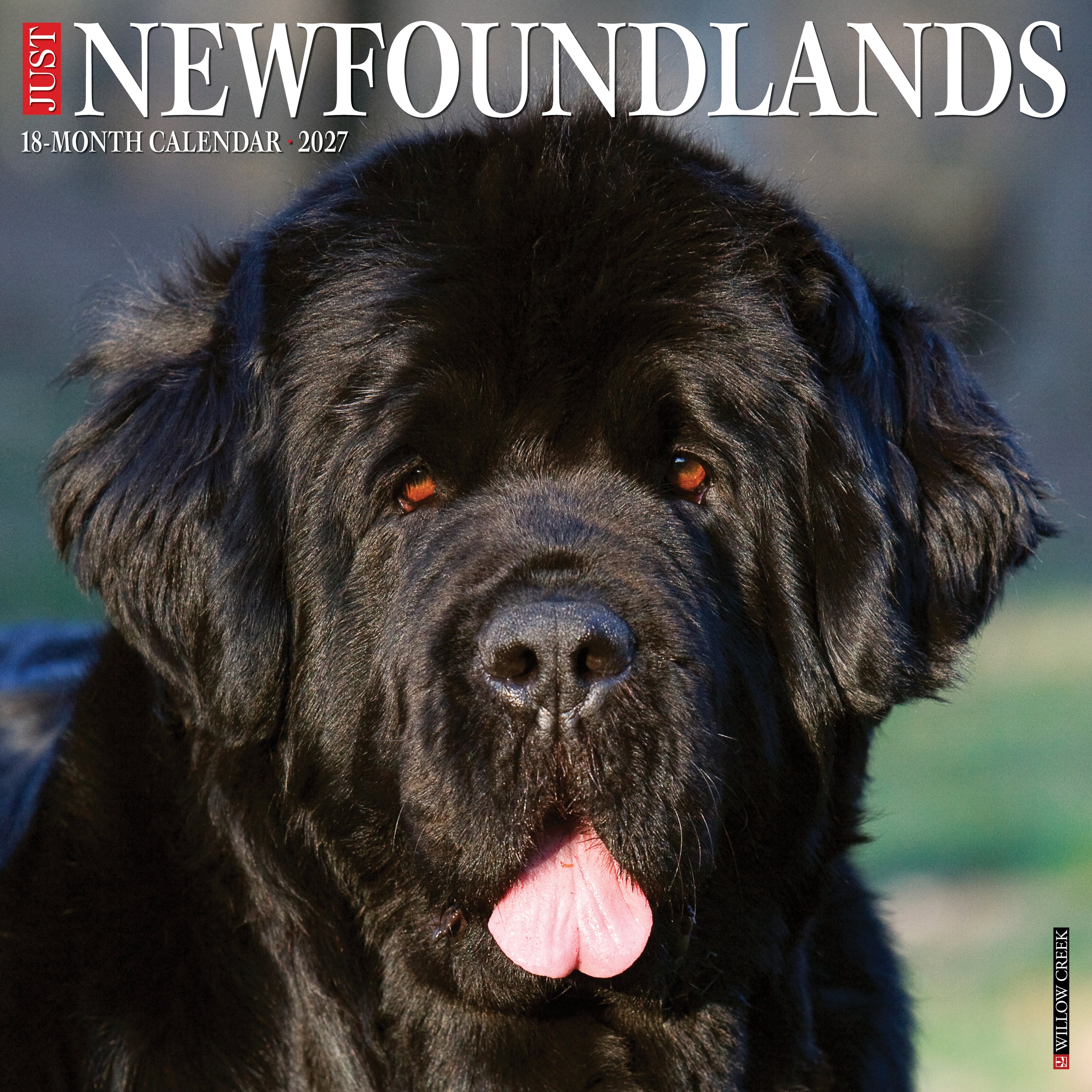 Just Newfoundlands 2027 Calendar