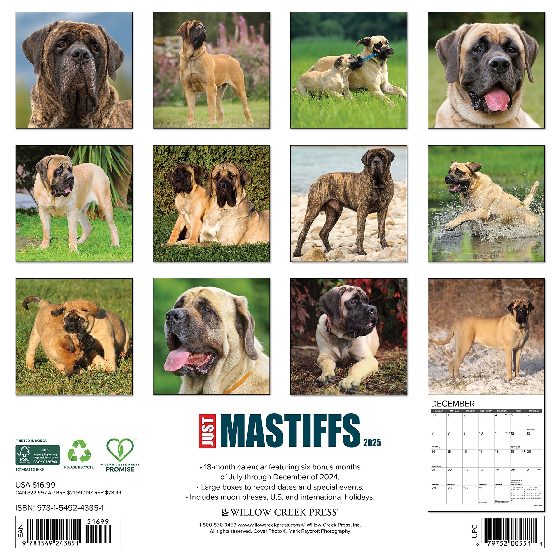 Just Mastiffs 2025 Calendar