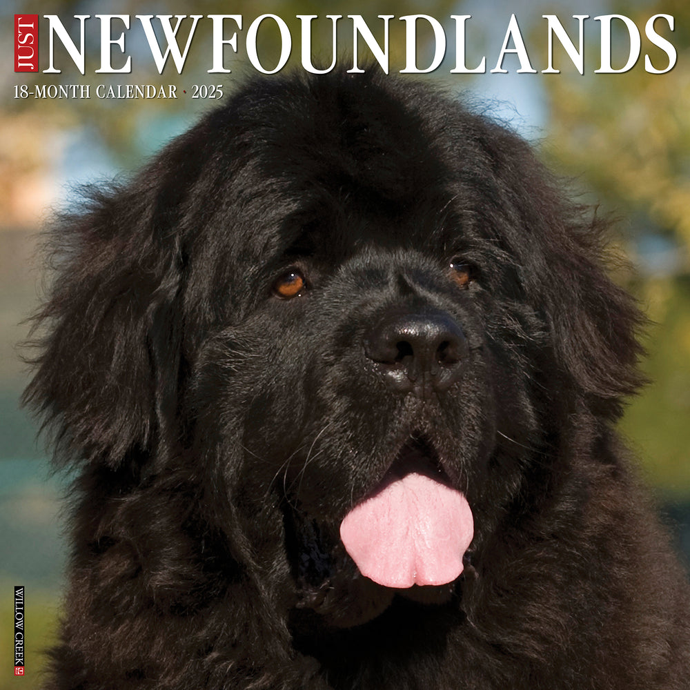 Just Newfoundland 2025 Calendar