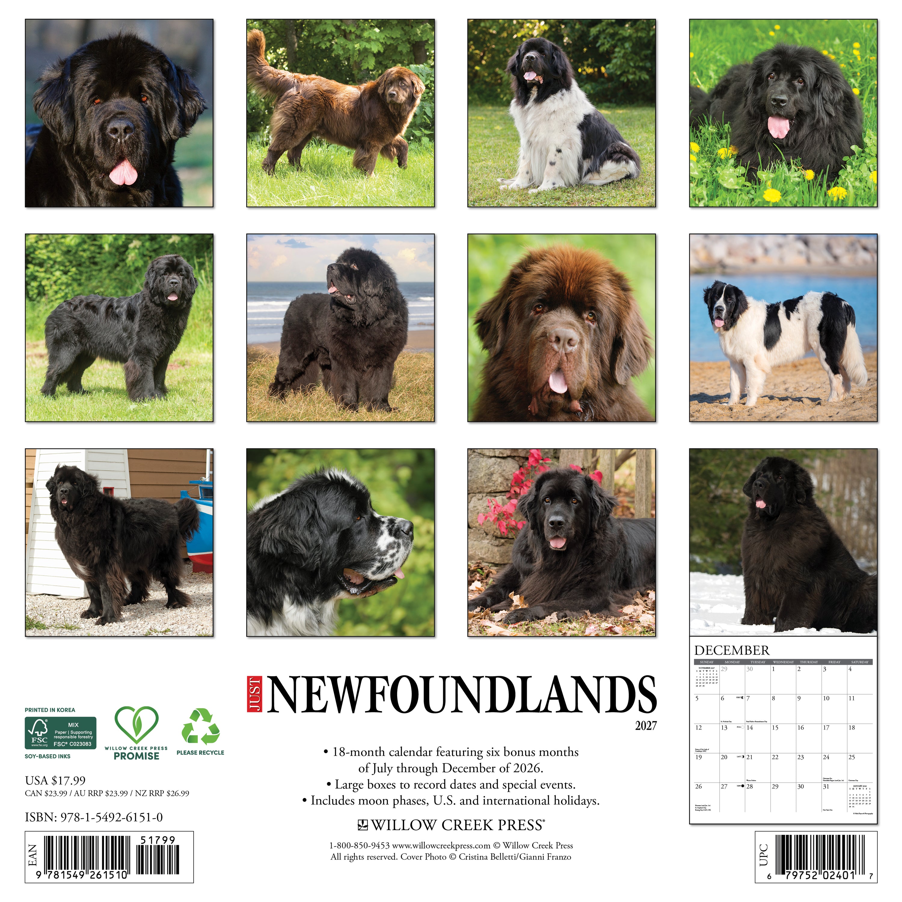 Just Newfoundlands 2027 Calendar