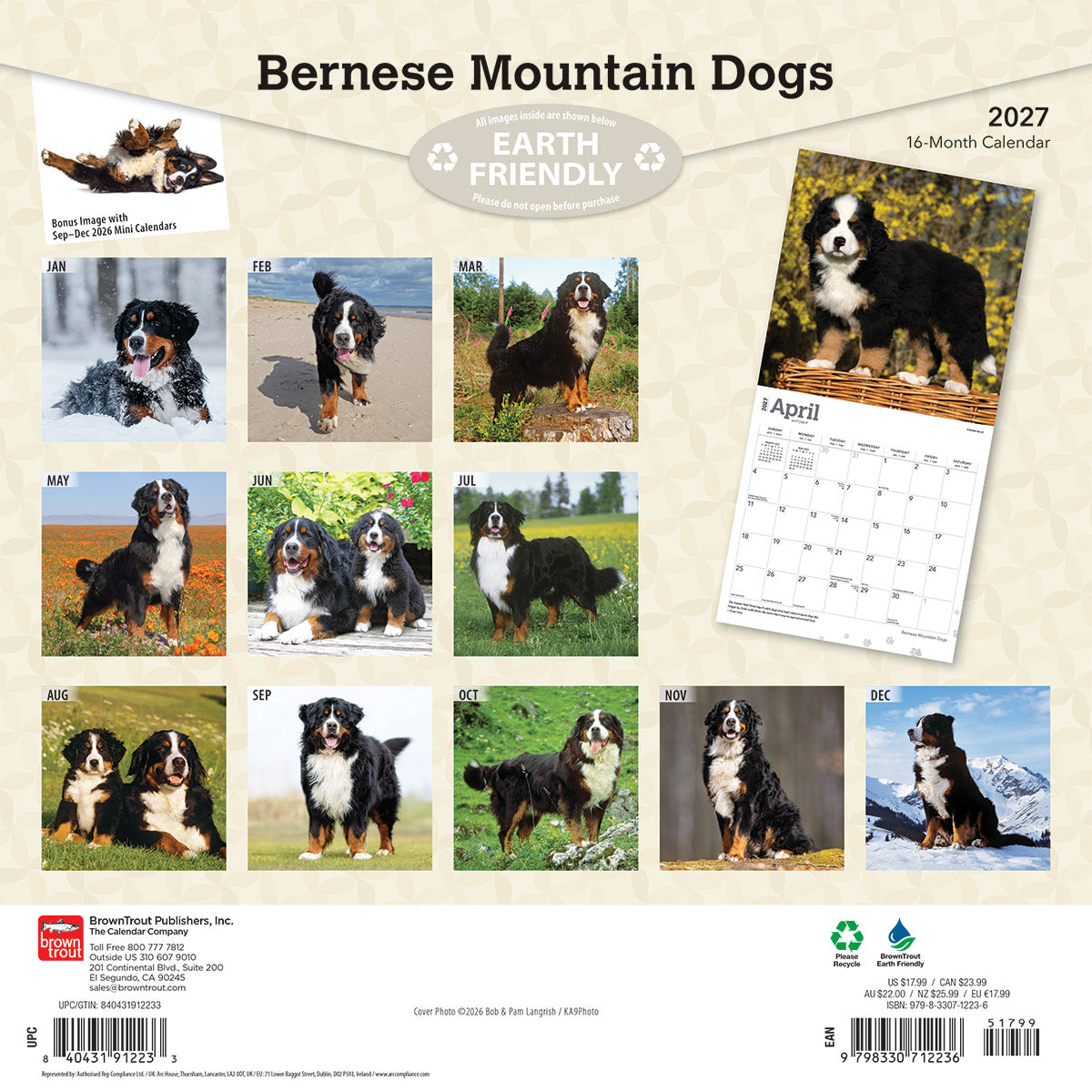 Bernese Mountain Dogs 2027 Calendar