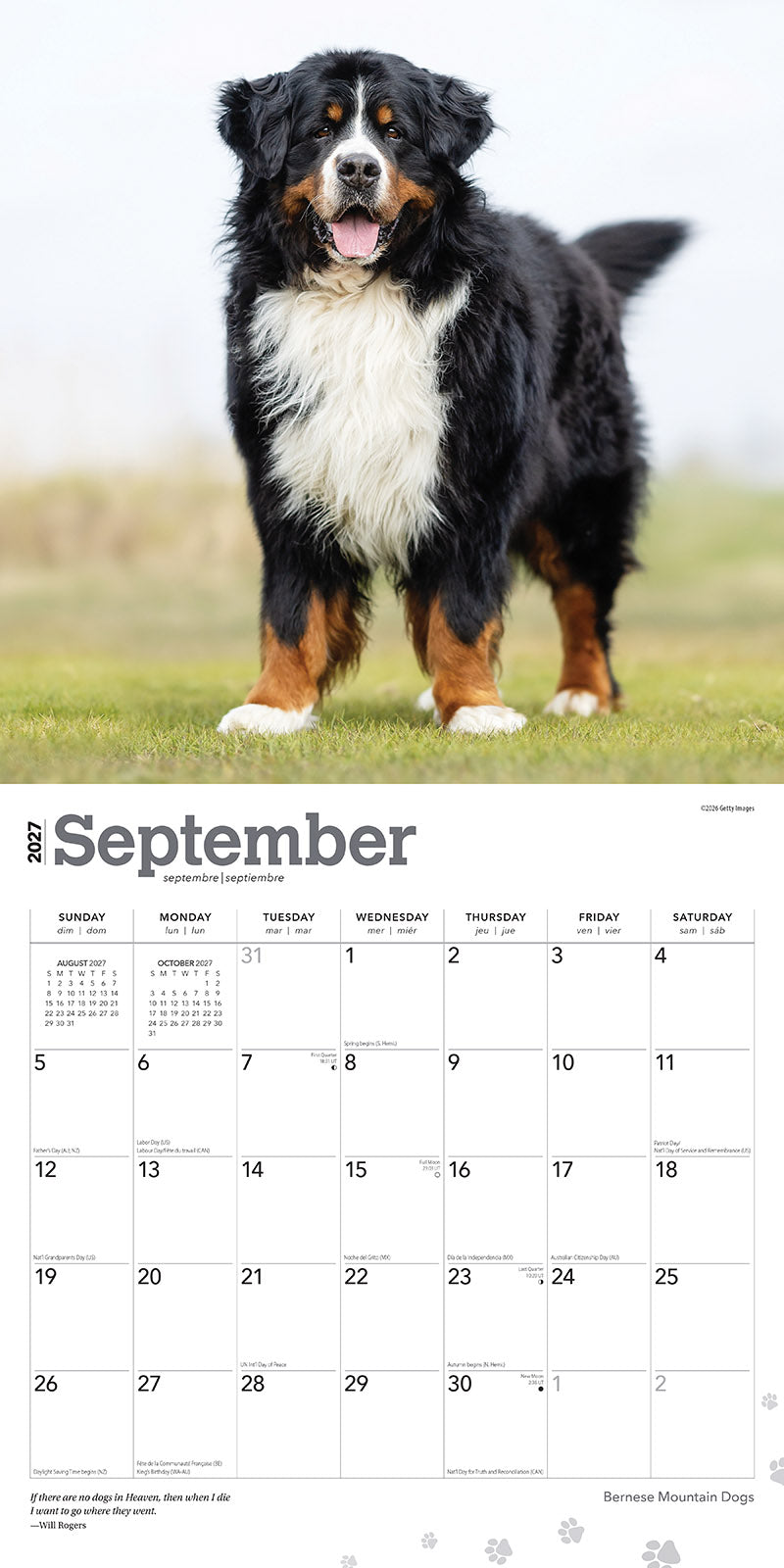 Bernese Mountain Dogs 2027 Calendar
