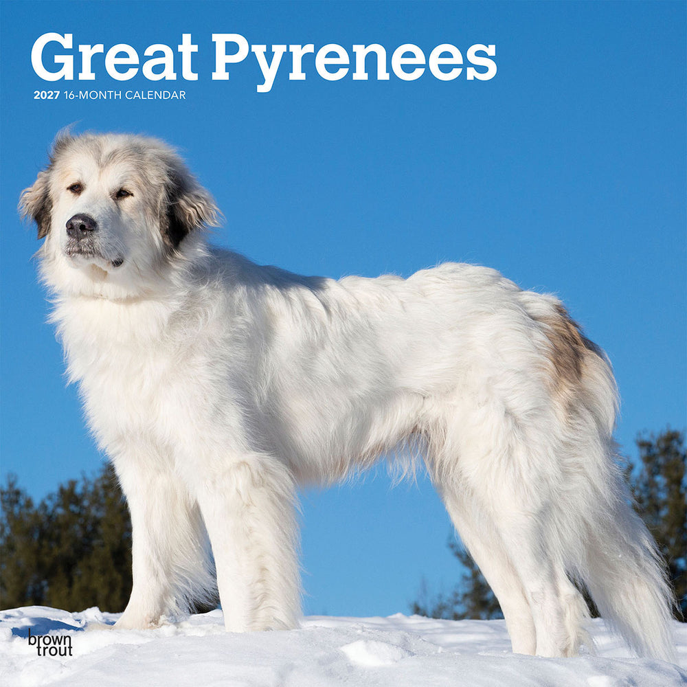 Great Pyrenees 2027 Calendar