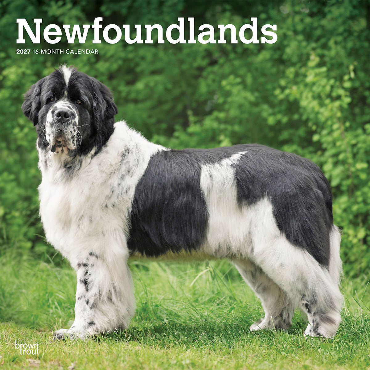 Newfoundland 2027 Calendar