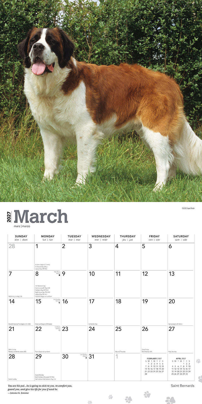 Saint Bernard 2027 Calendar