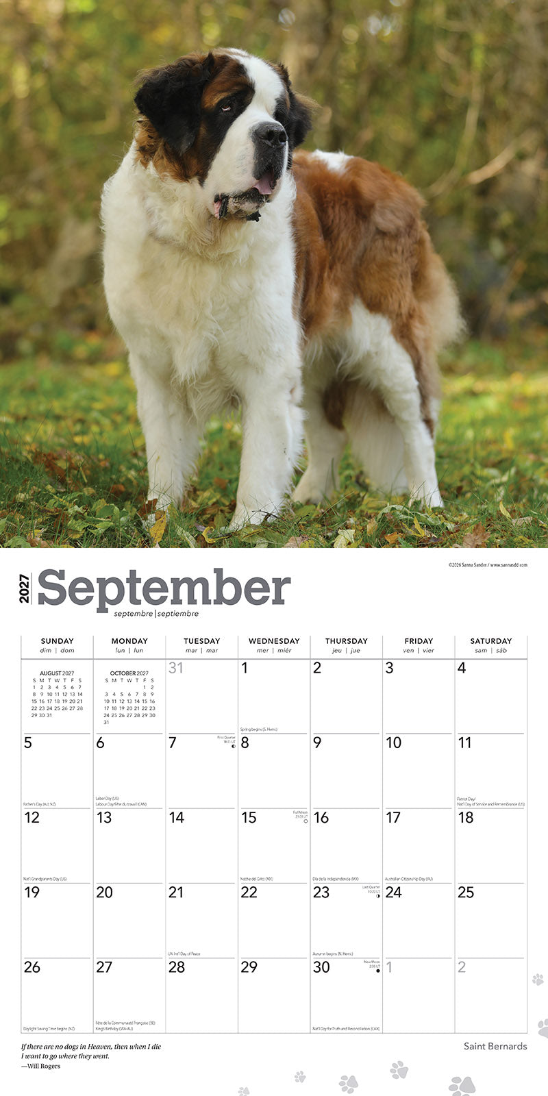 Saint Bernard 2027 Calendar