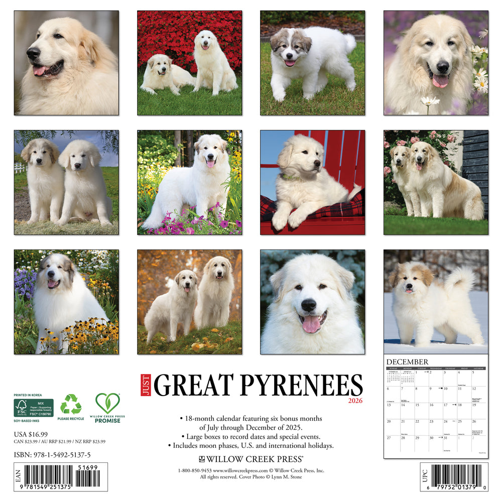 Just Great Pyrenees 2026 Calendar