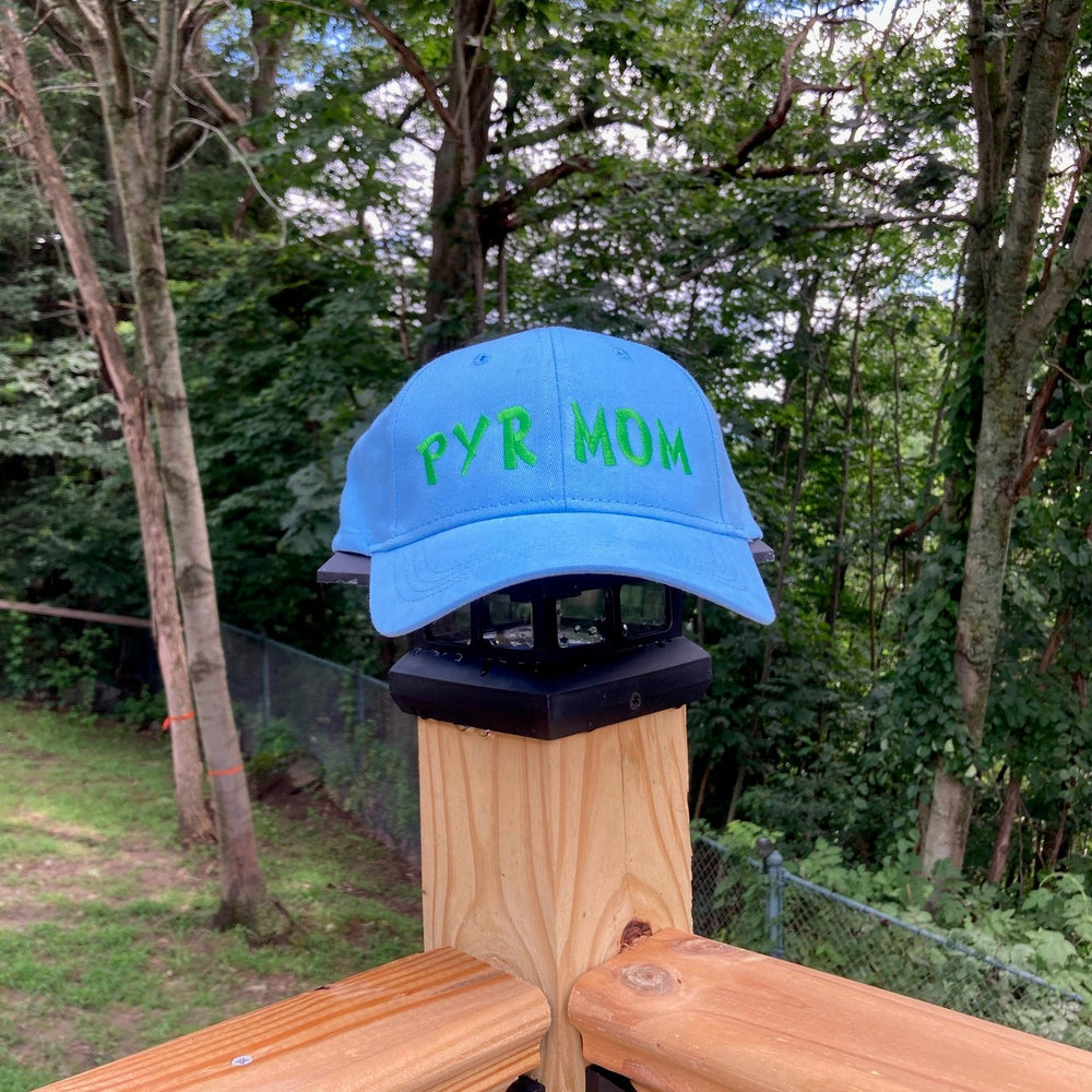 Pyr Mom Embroidered Cap - blue/green