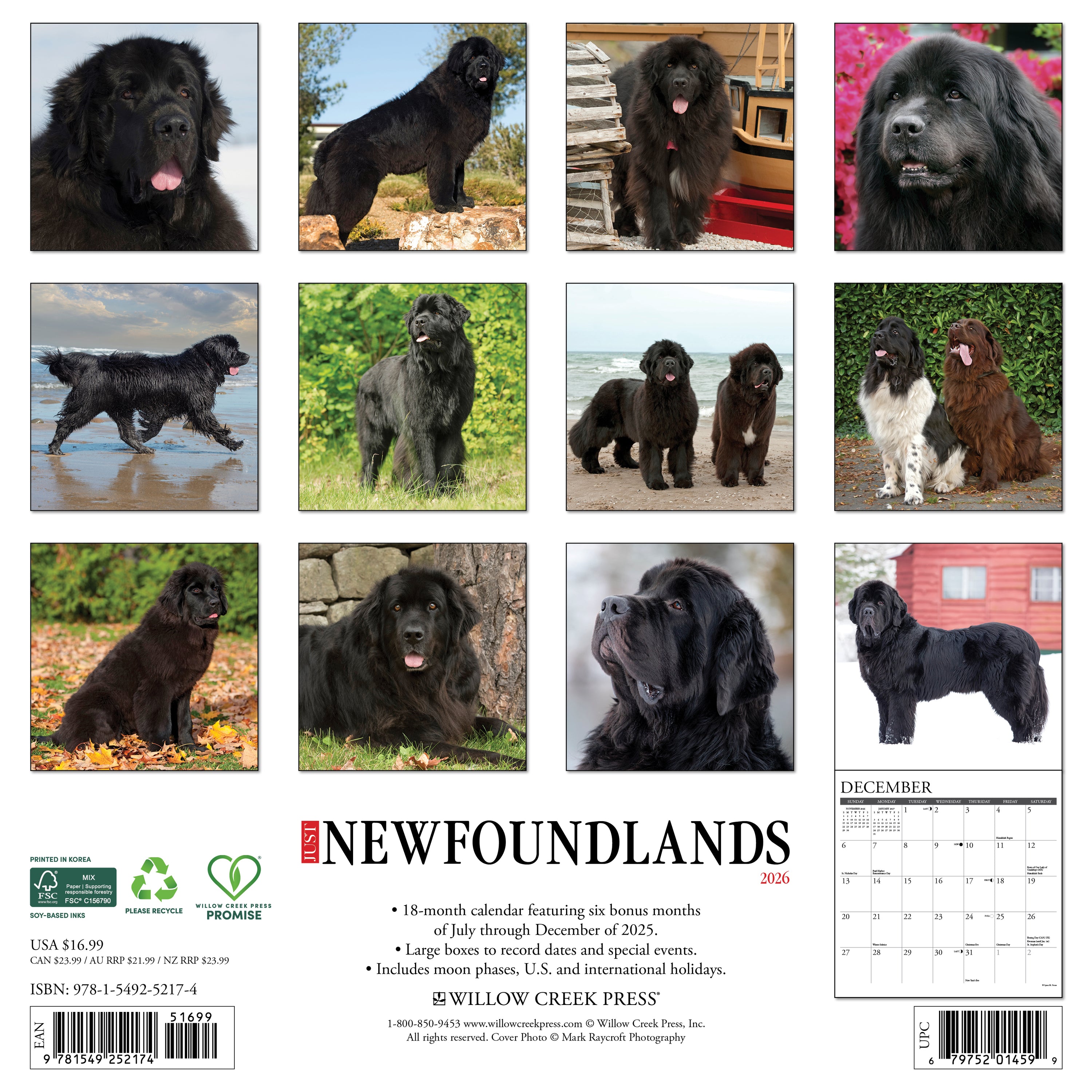 Just Newfoundlands 2026 Calendar
