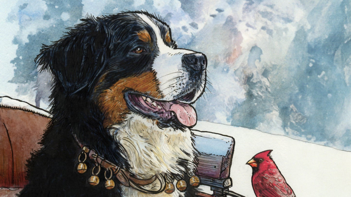 Jingle all the way  - Bernese