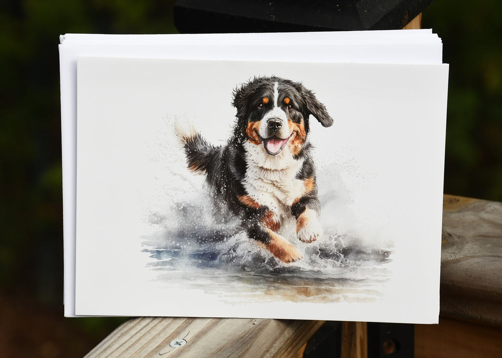 Bernese in Water Blank Greeting Card - Sold individually