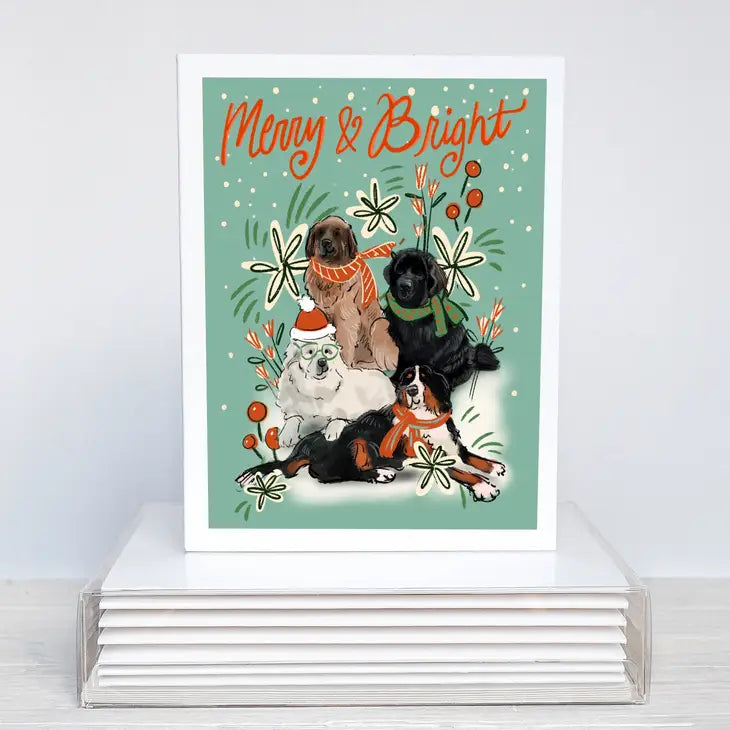 Merry & Bright Christmas Cards - Box of 10