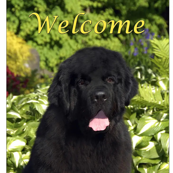 Newfoundland dog items online