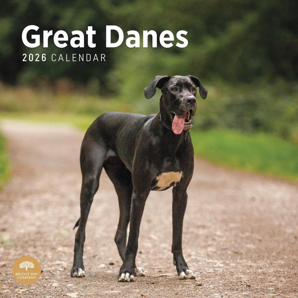 Great Danes 2026 Calendar