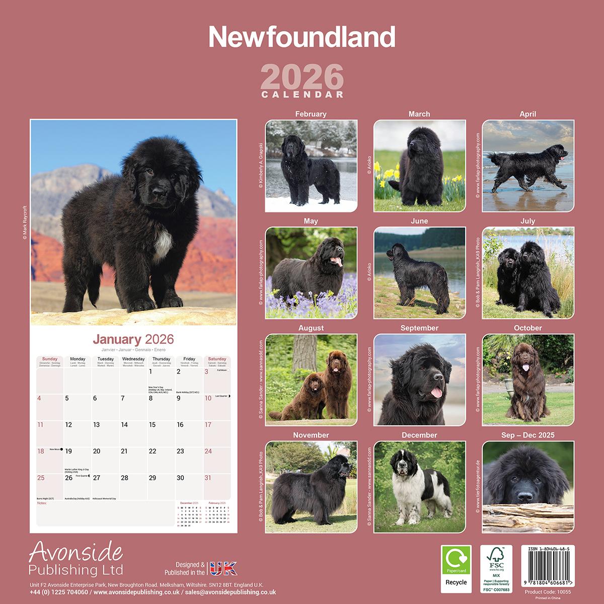 Newfoundland 2026 Calendar Avonside