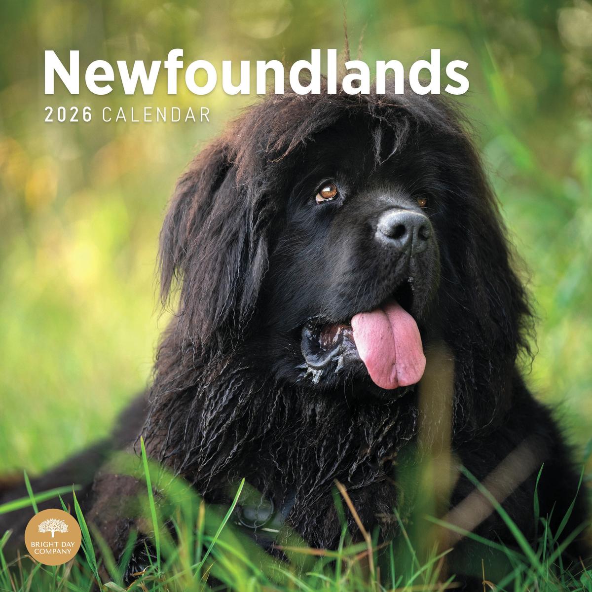 Newfoundland 2026 Calendar
