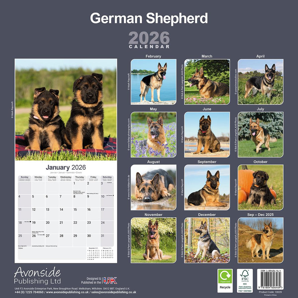 German Shepherds 2026 Calendar