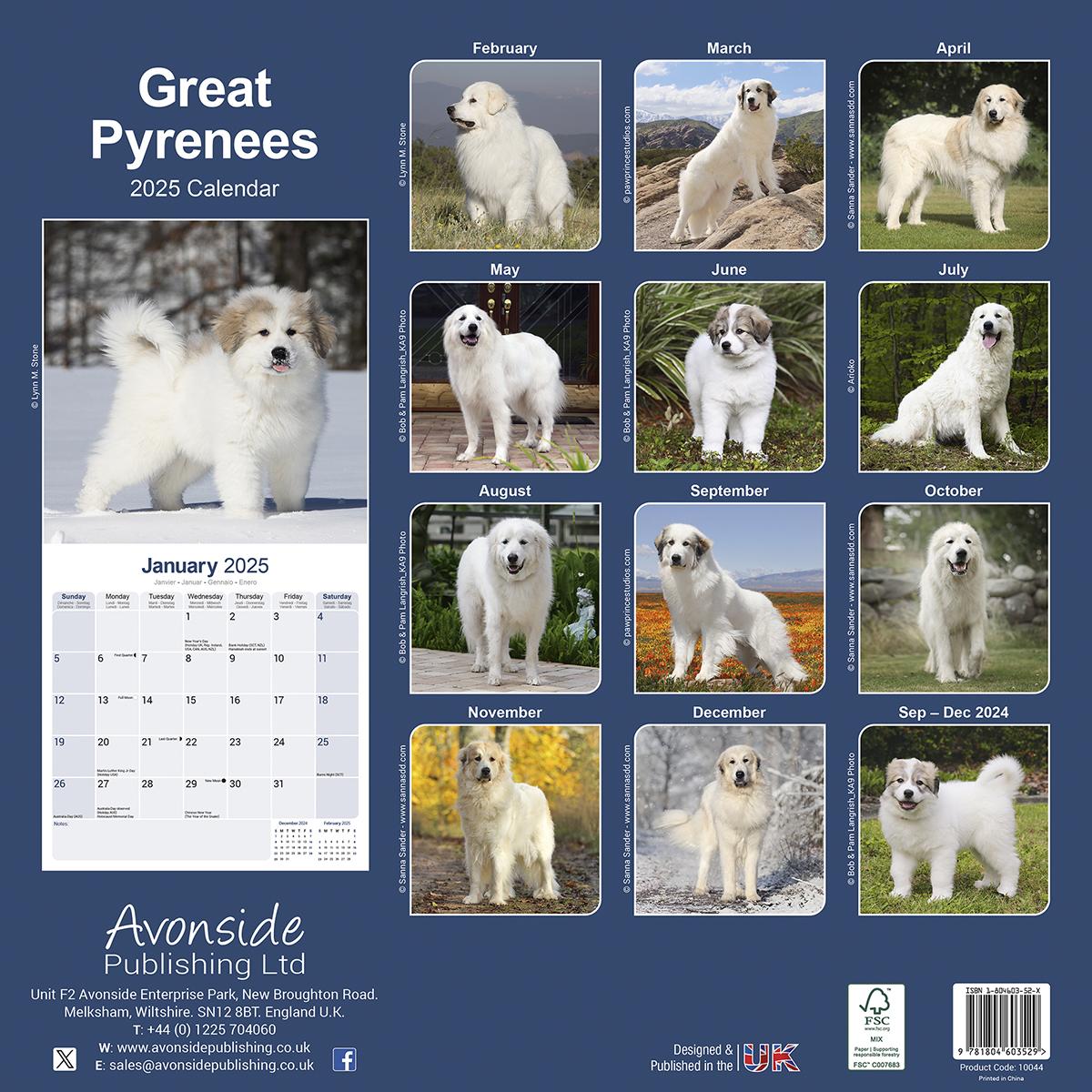 Great Pyrenees 2025 Calendar Avonside