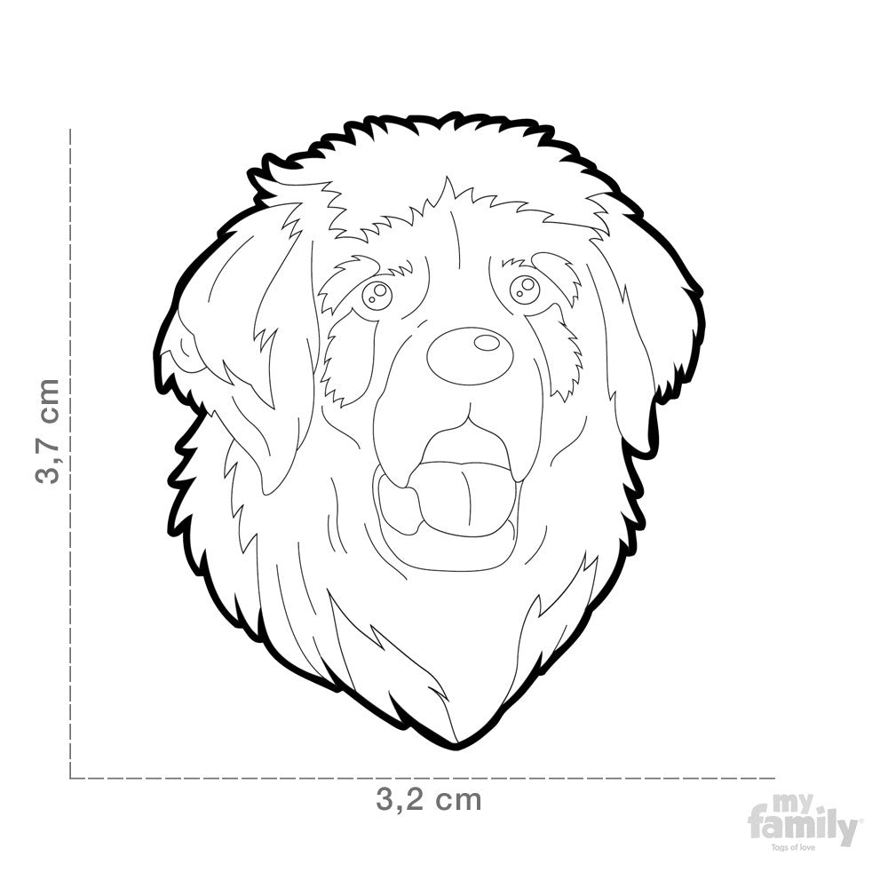 Leonberger Tag