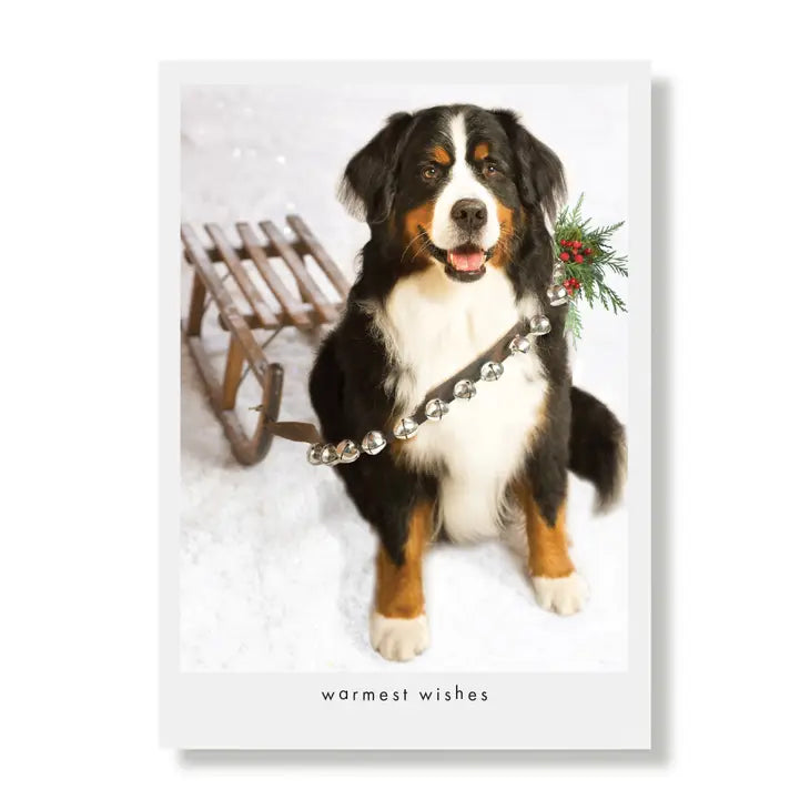 Warmest Wishes Bernese Holiday Card - Sold individually