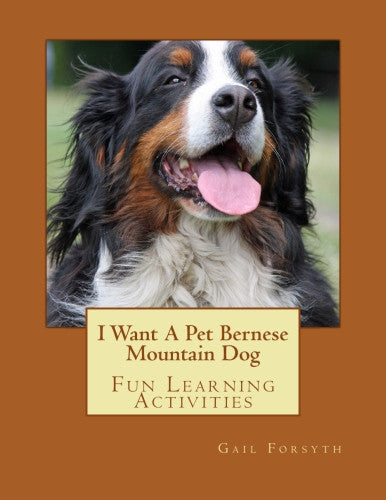 I Want A Pet Bernese Mountain Dog