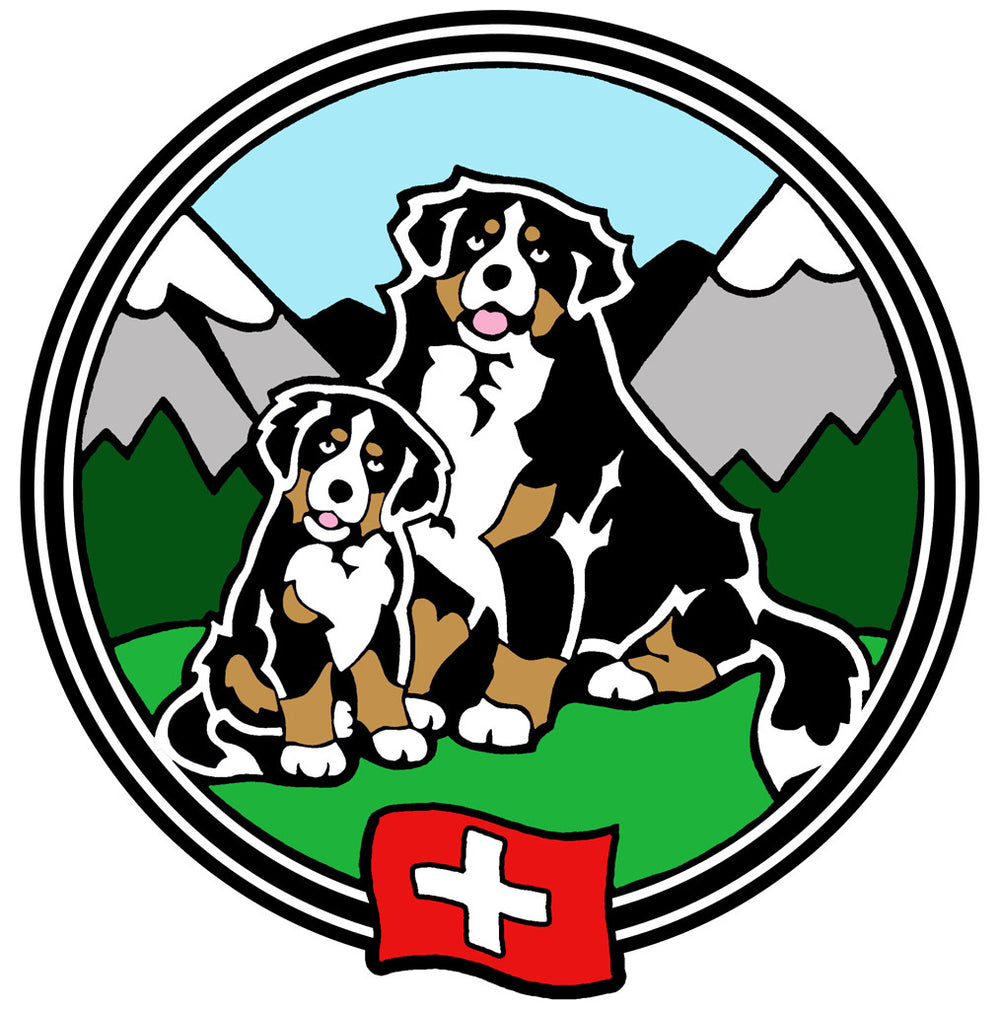 Bernese Swiss Flag Magnet