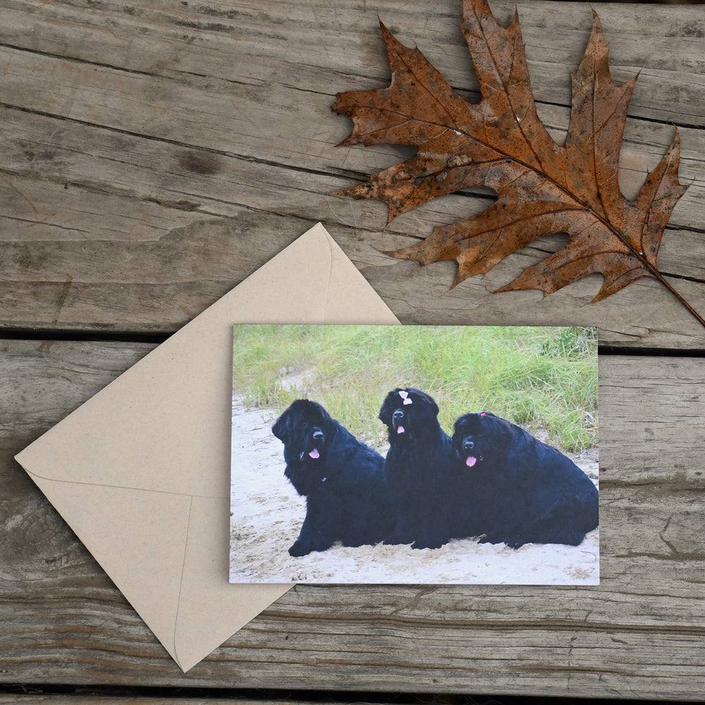 3 of a kind Note Card - Sold individually