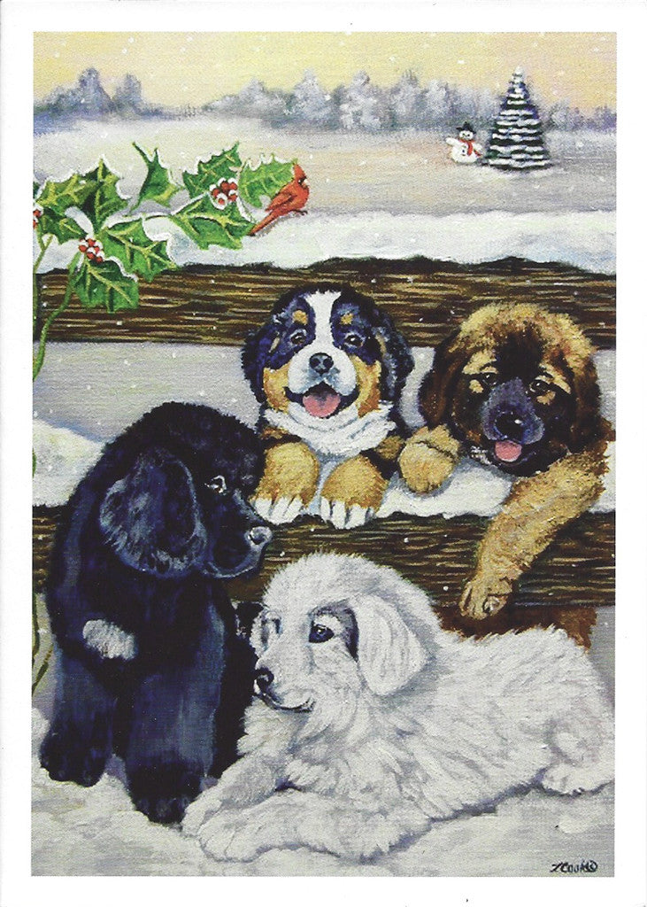 4 Puppies Christmas Cards - sold individually