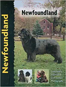 Newfoundland (Pet Love) -  hardcover