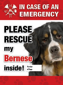 In Case of Emergency Window Sticker - bernese