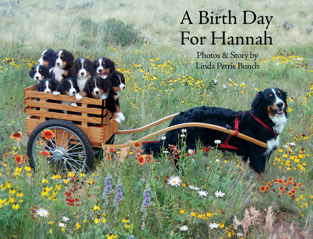 A Birth Day for Hannah