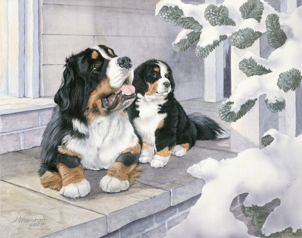 Bernese Holiday, Limited Edition Giclee
